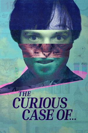 The Curious Case of... The Curious Case of...