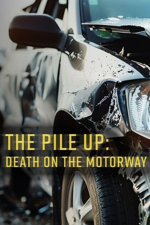 The Pile-Up: Death on the Motorway The Pile-Up: Death on the Motorway