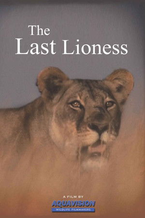 The Last Lioness The Last Lioness