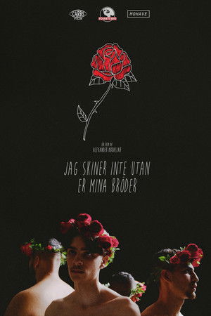 Can't Shine Without You My Brother Can't Shine Without You My Brother