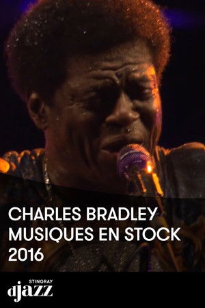 Charles Bradley : Musiques en Stock 2016 Charles Bradley : Musiques en Stock 2016