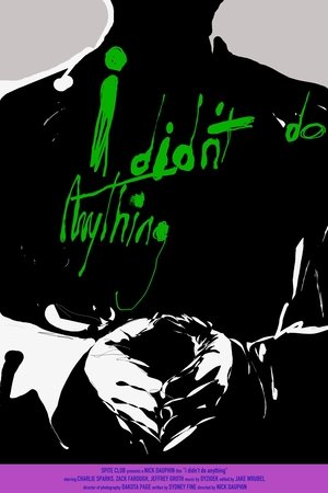 i didn't do anything