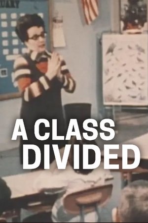 A Class Divided A Class Divided