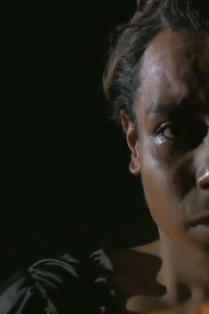 Transformei a noite em sombra