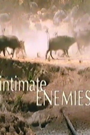 Intimate Enemies Intimate Enemies