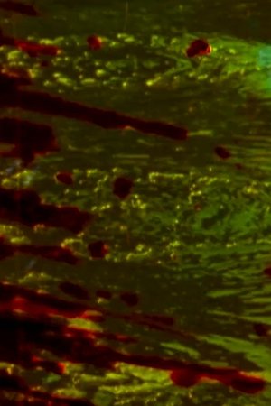 Tar Pits Film Tar Pits Film