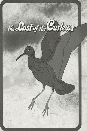 The Last of the Curlews