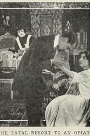 The Spirit of the Poppy The Spirit of the Poppy