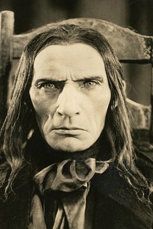 The Black Panther The Black Panther