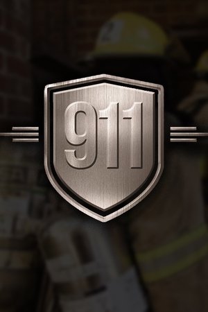 911 911