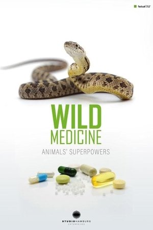 Wild Medicine: Animals' Superpowers