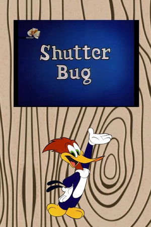 Shutter Bug Shutter Bug
