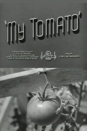 My Tomato My Tomato