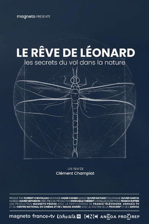 Le rêve de Léonard : Les secrets du vol dans la nature Le rêve de Léonard : Les secrets du vol dans la nature