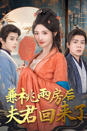 兼祧两房后夫君回来了