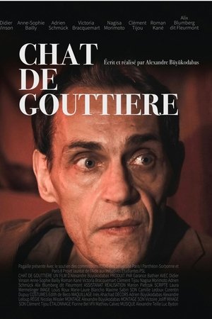 Chat de gouttière