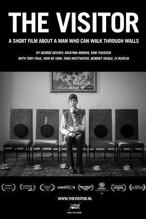 The Visitor The Visitor