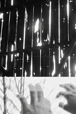 Where Old Voices Go Where Old Voices Go