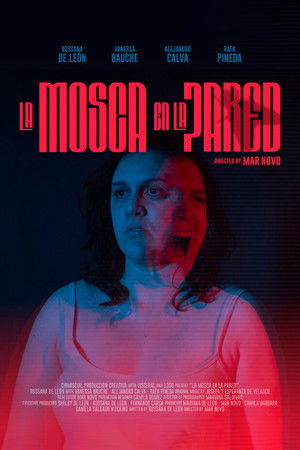 Fly on the Wall Fly on the Wall