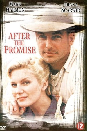 After the Promise After the Promise