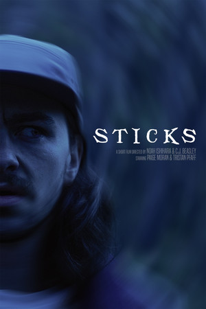 STICKS STICKS