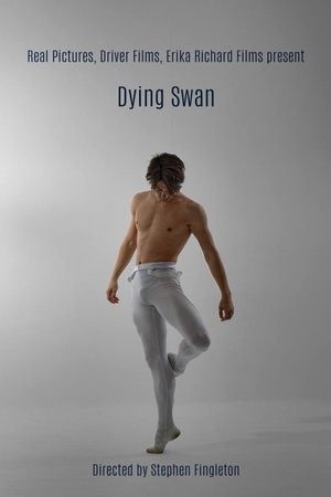 Dying Swan Dying Swan
