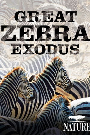 Nature: Great Zebra Exodus Nature: Great Zebra Exodus