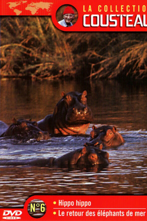 The Cousteau Collection N°6-1 | Hippo, Hippo
