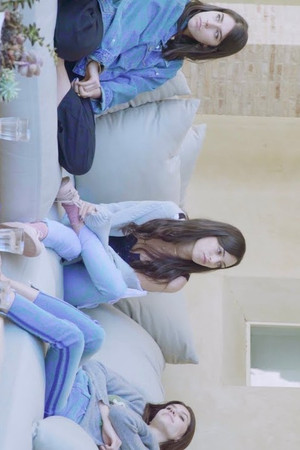 Look it Up Look it Up