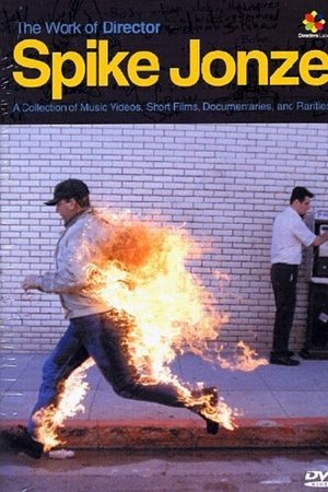 The Work of Director Spike Jonze The Work of Director Spike Jonze