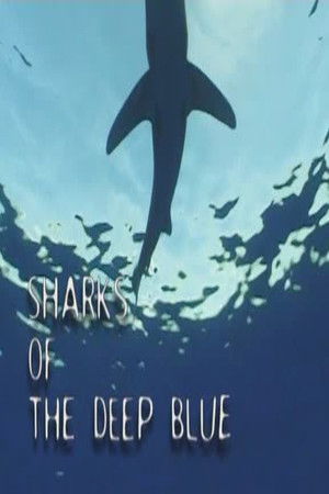 Sharks of the Deep Blue Sharks of the Deep Blue