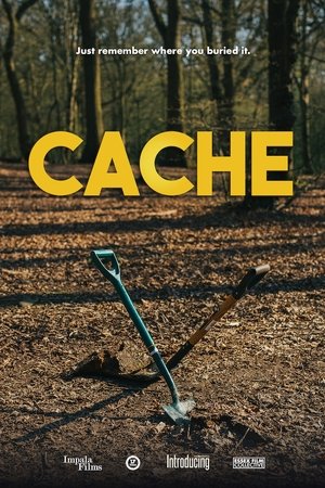 Cache Cache