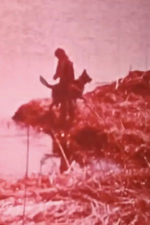 Hobo and the Runaway Hobo and the Runaway