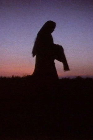 Women in the Shadows Women in the Shadows