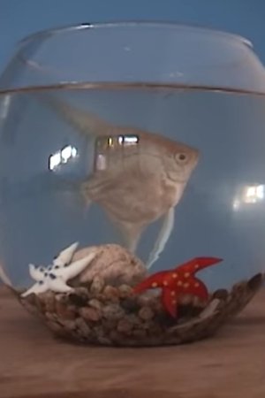 El gabinete del doctor mojado - Piloto CNTV El gabinete del doctor mojado - Piloto CNTV