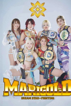 Dream Star Fighting MARIGOLD Dream Star Fighting MARIGOLD