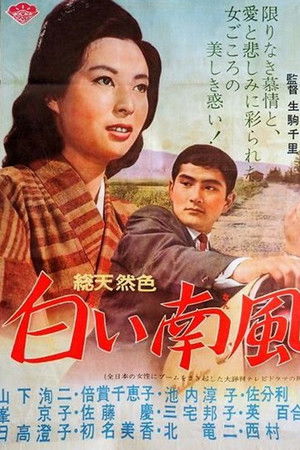 白い南風