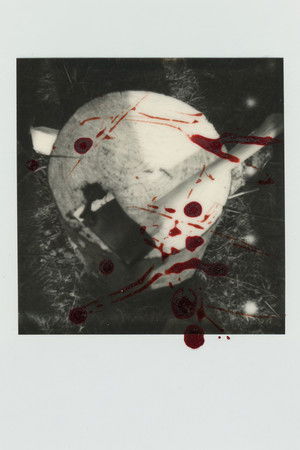 The Way Blood Flows The Way Blood Flows