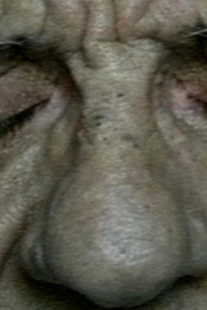 A Prayer for Nettie A Prayer for Nettie