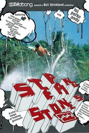 Stepping Stones Stepping Stones