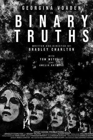 Binary Truths Binary Truths