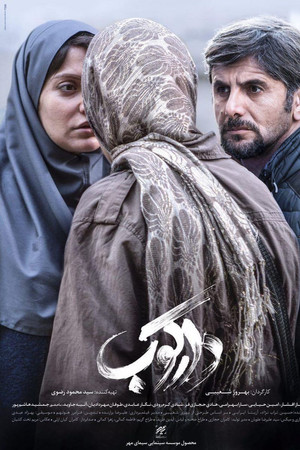 Woodpecker Woodpecker