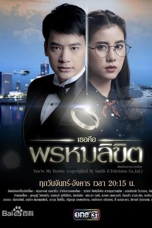 You're My Destiny You're My Destiny