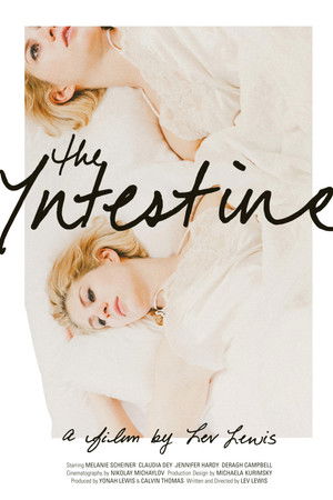 The Intestine The Intestine