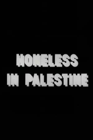 Homeless in Palestine Homeless in Palestine