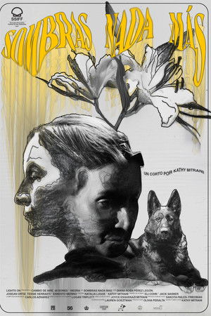 Nothing but Shadows Nothing but Shadows