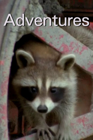 Adventures Adventures