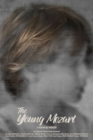 The Young Mozart The Young Mozart