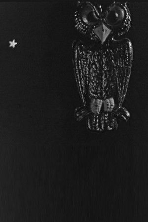 The Spider and the Fly The Spider and the Fly