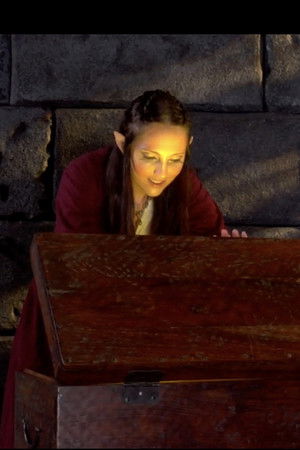 Roll Playing: The Quest of the Four Bracelets Part II Roll Playing: The Quest of the Four Bracelets Part II